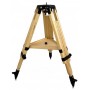 iOptron iEQ45/CEM60 এর জন্য Berlebach Planet Tripod