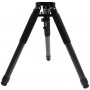 iOptron CF τρίποδο 40mm
