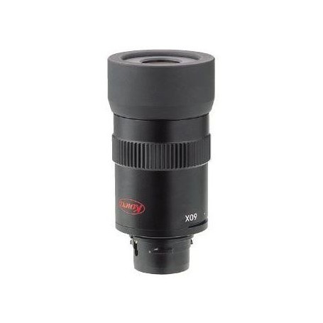 Kowa TSN-602 עינית ישרה + עינית TSE-Z9B 20-60X זום
