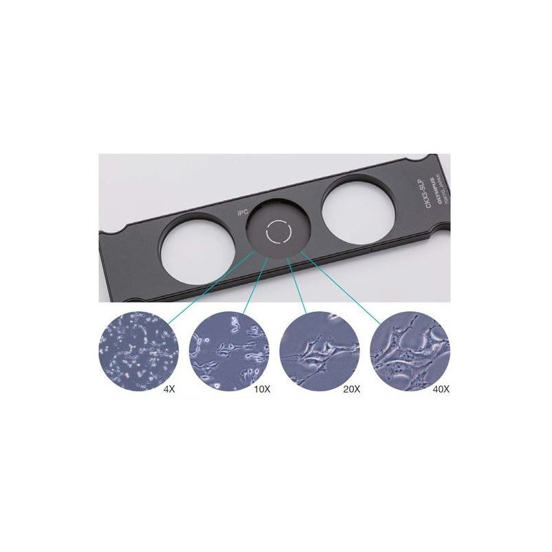Slider Phase Contrast של אולימפוס CKX3-SLP עבור CKX53