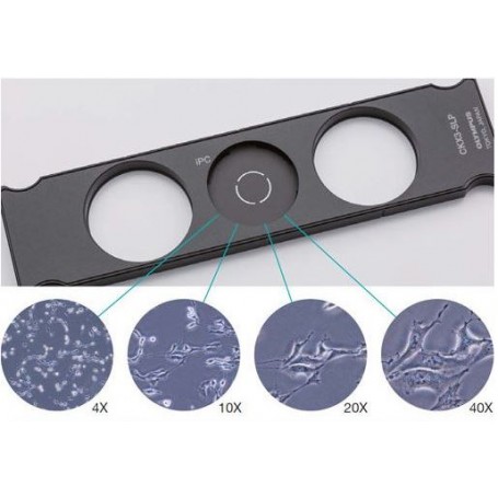 Evident Olympus CKX3-SLP Phase Contrast Slider สำหรับ CKX53