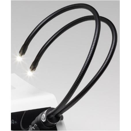 Thanh dẫn hướng cổ ngỗng Schott, 2 nhánh PURAVIS 4,5mm / 600mm