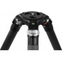Omegon Pro 40mm carbon tripod (60250)