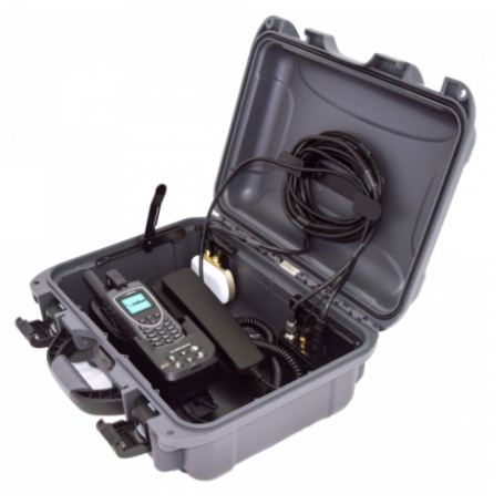 Beam LRG GNG 9575 语音套件，带 P/Hset (PTTGNG-P)