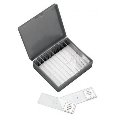 Bresser Biolux NV, Mikroskop 20x-1280x