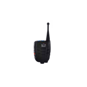Beam Wireless Handset (PTT100)