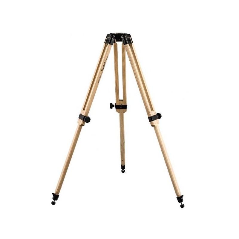 Tripod kayu Berlebach Report 122 1/4" (8046)