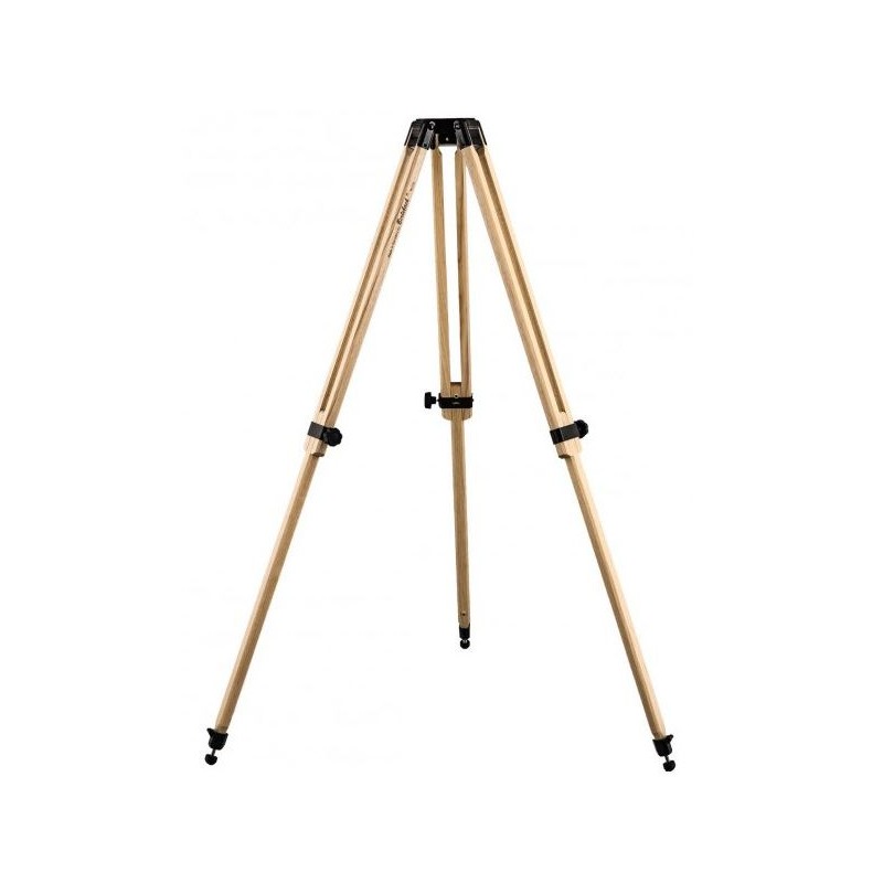 Berlebach Wooden tripod Report 232 (8060)
