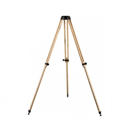 Berlebach Houten statief Report 322 3/8" (77947)