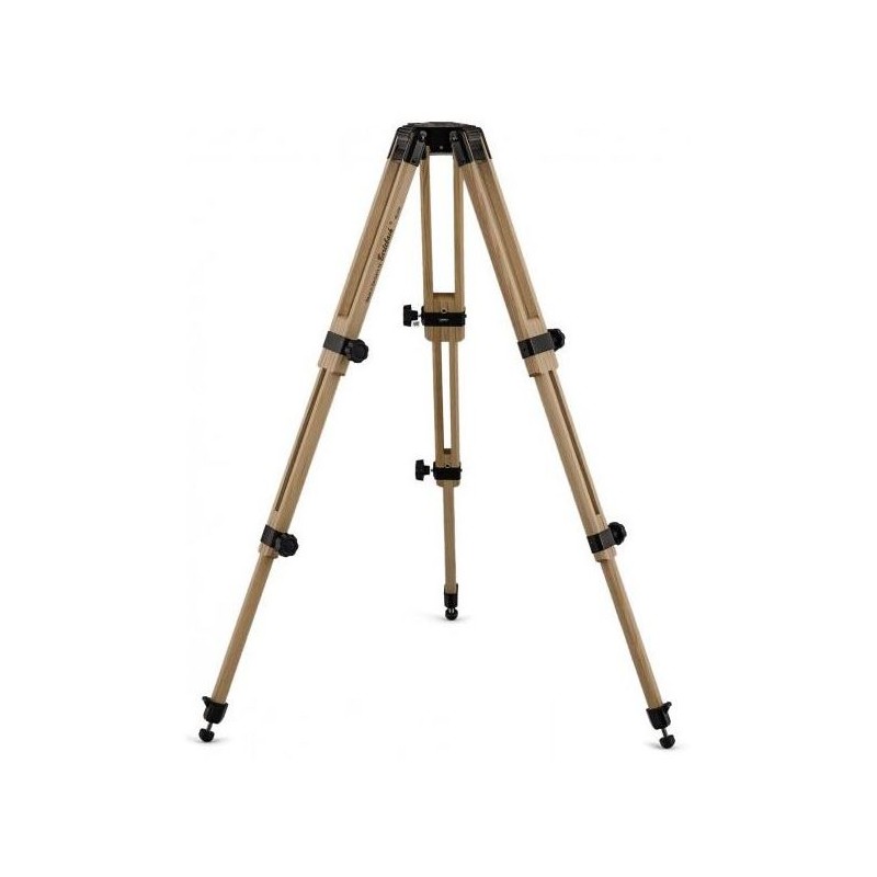 Berlebach Wooden tripod Report 803 1/4" (8101)