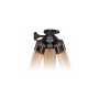 Tripod kayu Berlebach Report 432 (8084)