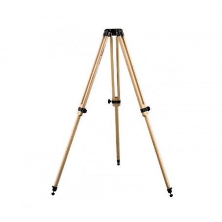 ขาตั้งกล้องไม้ Berlebach รุ่น 242 (8062)