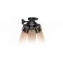 Tripod kayu Berlebach Report 833 (8105)