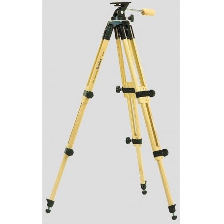 Chân máy gỗ Berlebach model 953/520 video (8120)