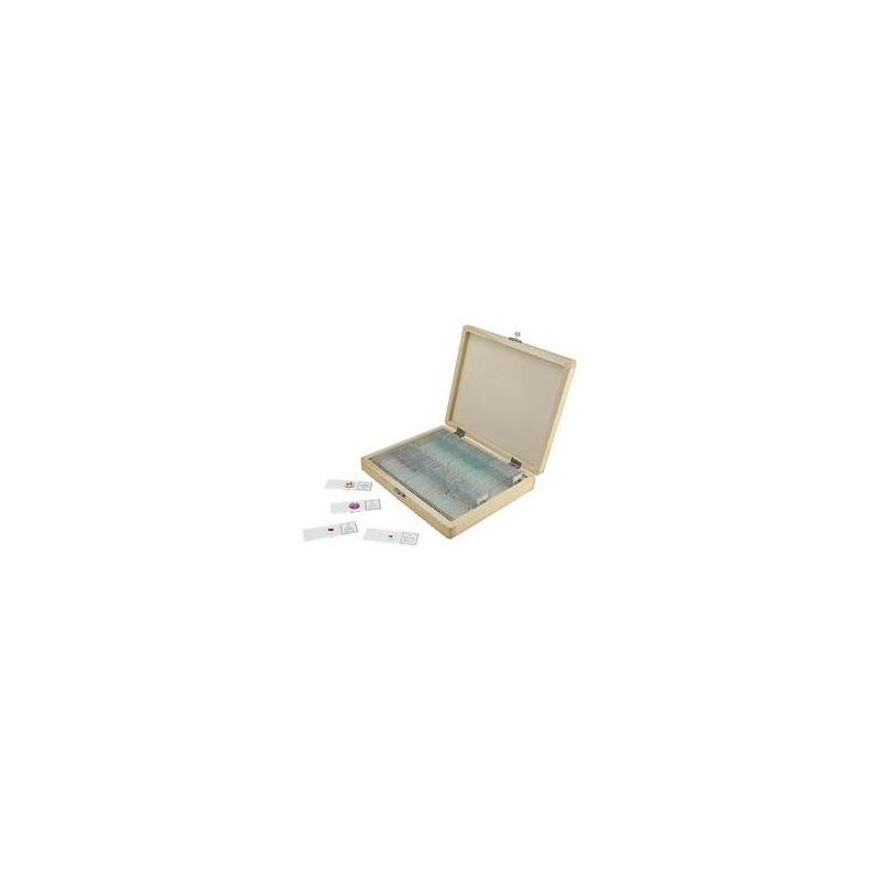 Celestron Prepared slide Mod. 44 412, 100 pcs. (10574)