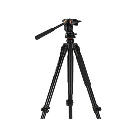 Trépied en aluminium Celestron Premium Regal (84753)