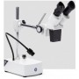 Euromex Stereo mikroskopas BE.1820, binokulinis, 20x, LED, w.d. 119 mm (62058)