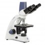 Microscopio Euromex BioBlue, BB.4267, digitale, binoculare, DIN, 40x-1000x, 10/18, NeoLED, 1W (75746)