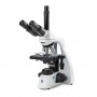 Microscópio Euromex BS.1153-EPL/DF, DF, trinocular, 10x/20 mm, PL, 40x-1000x, DL, LED 5W (79892)