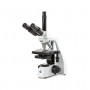 Microscope Euromex BS.1153-EPLPH, trinoculaire, 40x-1000x (55372)