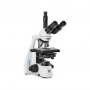 Euromex Microscope BS.1153-PLPHi, trino, 40x-1000x (55376)
