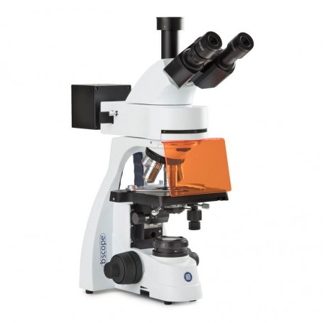 Микроскоп Euromex BS.3153-PLFi, тринокулярный, 40x-1000x (77815)