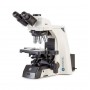 Kính hiển vi Euromex DX.1153-PLPHi, pha, trino, vô cực, 40x - 1000x (53312)
