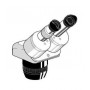 Cap binocular pentru microscop stereo zoom Euromex EE.1522 (9352)