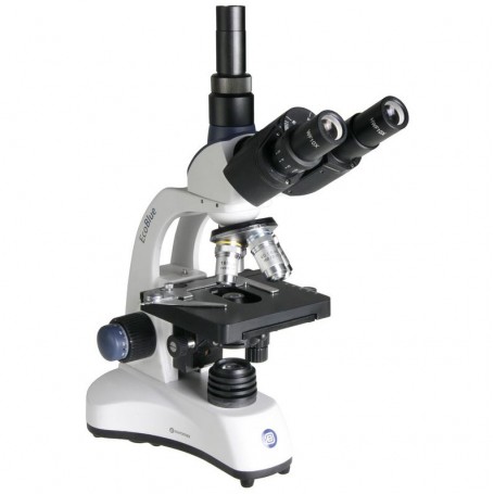 Microscopio Euromex EC.1153, trinocular, NeoLED, 40x, 100x, 400x, 1000x (49888)