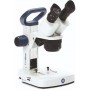 מיקרוסקופ סטריאו Euromex ED.1402-S, EduBlue 2x / 4x (56297)