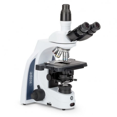 Euromex Microscoop iScope IS.1153-PLPH, PH, trino, DIN, plan, 100x-1000x, LED, 3W (51451)