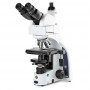 Microscópio Euromex iScope IS.1159-PLPHi, bino + fototubo, infinito, Plan Phase IOS 100x-1000x, 10x/22 DL, Kohler LED (75433)
