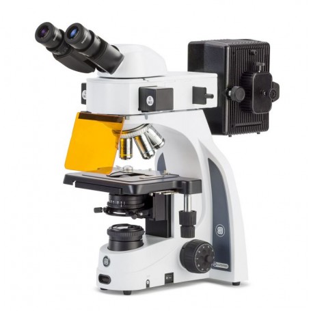 ユーロメックス顕微鏡 iScope、IS.3153-PLFi/3、トリノ (51470)