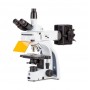 Euromex Mikroskop iScope, IS.3153-EPLi/6, trino (51460)