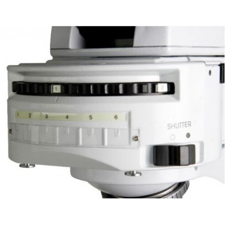 Microscopio Euromex iScope, IS.3153-PLi/3, trinoculare (51468)