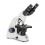 Microscopio Euromex MB.1652, binocular, 60x (48530)