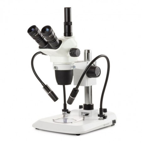 Euromex NexiusZoom, NZ.1903-PG, ไตรโน, 6.7x-45x, คอลัมน์, โคมไฟคอห่าน 2 ดวง (66737)
