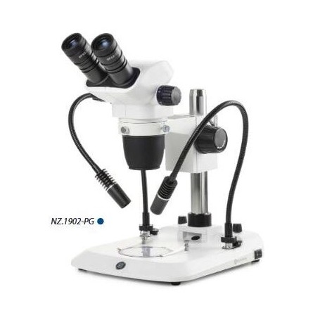 Microscope stéréo zoom Euromex NZ.1902-PG, 6.7-45x, Colonne, 2 cols de cygne, Lumière transmise, bino (63359)