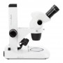 Euromex Stereo zoom microscoop NZ.1902-S, 6.7-45x, Tandheugel, Inval- en Doorgelicht, bino (63360)