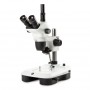 Euromex Estéreo zoom NZ.1903-M, 6.7-45x, Columna, Luz reflejada y transmitida, trino, Espejo para campo oscuro, Embriología (633