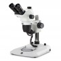 Euromex Stereo zoom microscoop NZ.1903-P, 6.7-45x, Kolom, Inval- en Doorgelicht, trino (63364)