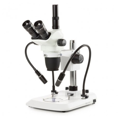 Euromex NexiusZoom Evo NZ.1703-PG、トリノ、6.5x-55x (56441)