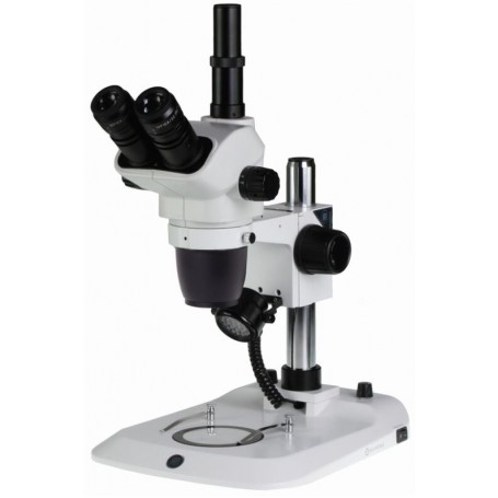 Euromex NexiusZoom EVO, NZ.1703-P, ไตรโน, 6.5x-55x (55196)