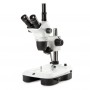 Euromex Stereo zoom NZ.1703-M, 6.5-55x, Sloupec, Dopadající a procházející světlo, trino, Zrcadlo pro temné pole, Embryologie (6