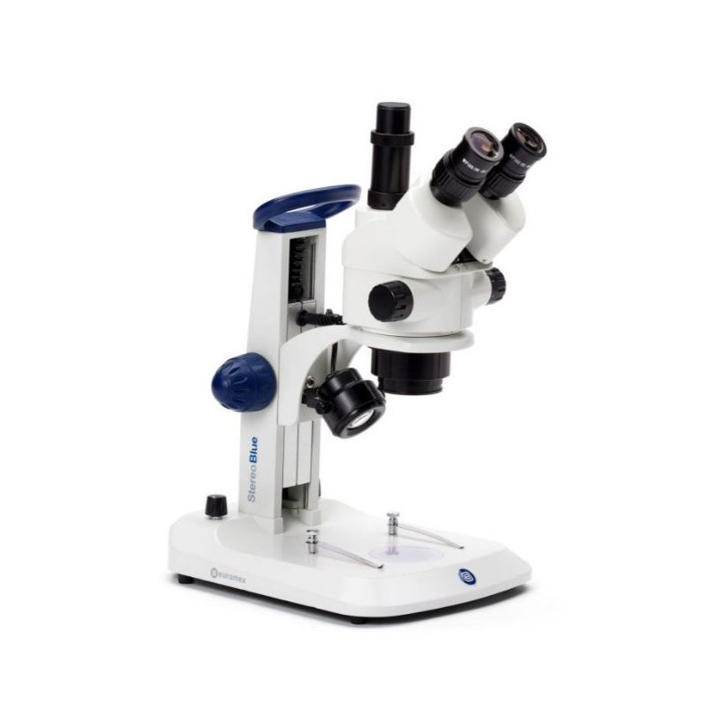 Euromex StereoBlue SB.1903, ซูม, ไตรโน (44677)