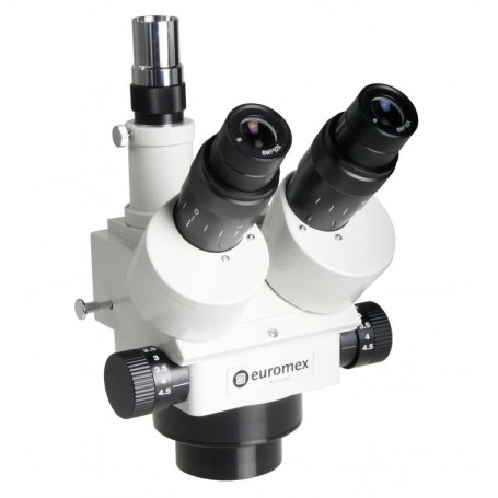 Euromex Zoom-Head ZE.1657, trójokularowy (9013)
