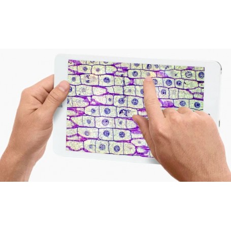 Euromex 相机 EP.5000-WiFi-3，EduPad-Wifi，彩色，CMOS，1/2.5"，2.2 µm，5 MP，Wifi，8 英寸平板电脑（79876）