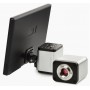 Máy ảnh Euromex UHD-4K Lite, VC.3042-HDS, màu, CMOS, 1/1.8 (74115)