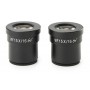 Euromex Okulare SB.6015, EWF 15x/15, (Paar) SB-Serie (47933)