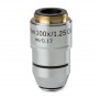 Euromex BB.7200 100X/1.25 plan, infinity, oil-immersion microscope objective (for BioBlue.lab) (56754)